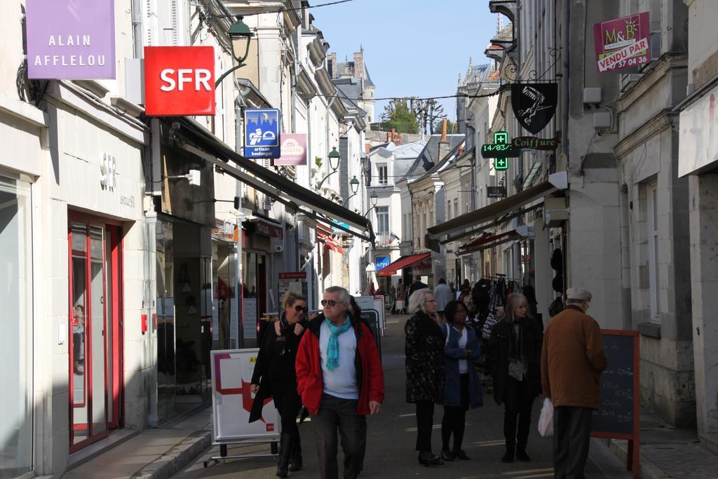 Sur Les Toits D'Amboise Apartment Bagian luar foto