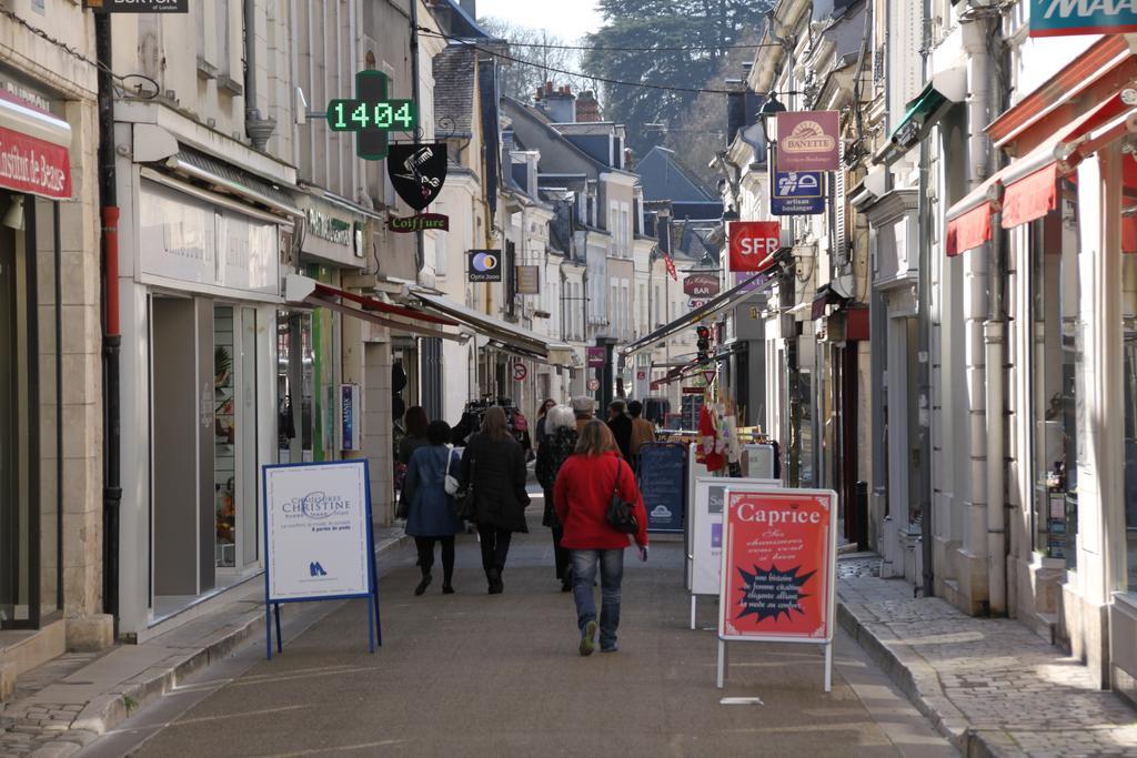 Sur Les Toits D'Amboise Apartment Bagian luar foto