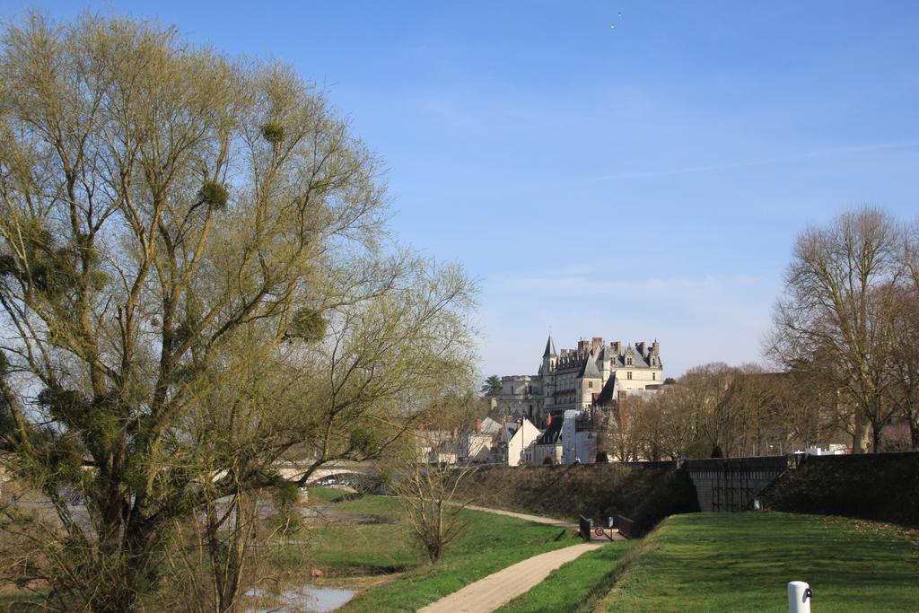 Sur Les Toits D'Amboise Apartment Bagian luar foto