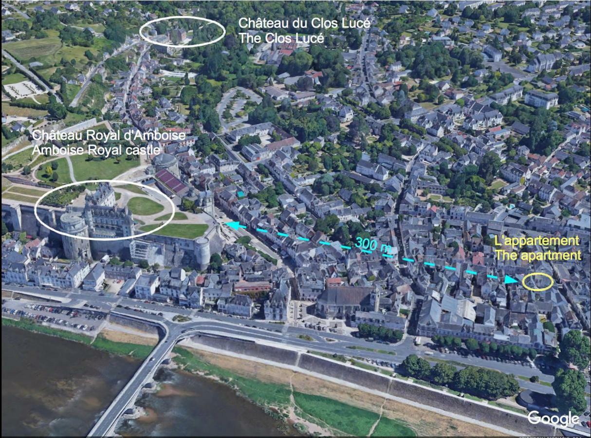 Sur Les Toits D'Amboise Apartment Bagian luar foto