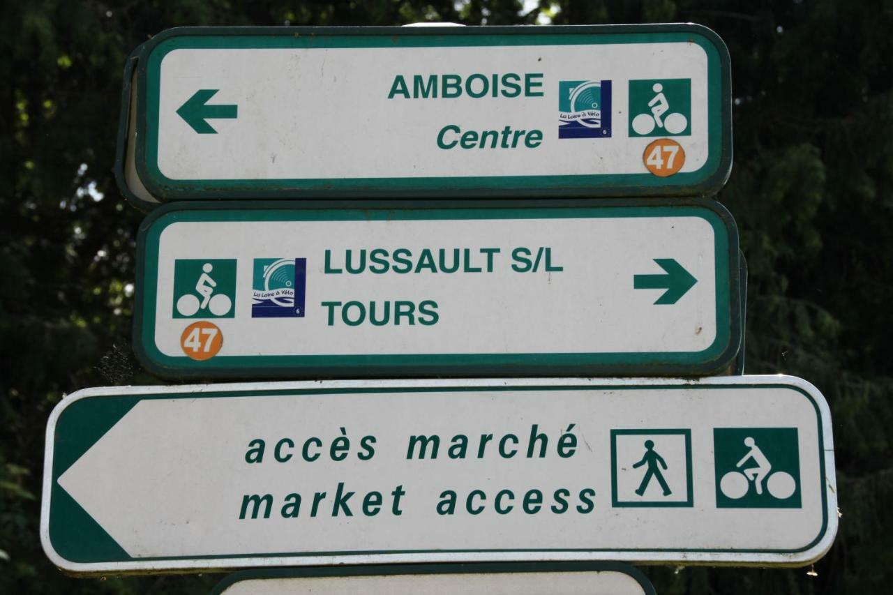 Sur Les Toits D'Amboise Apartment Bagian luar foto