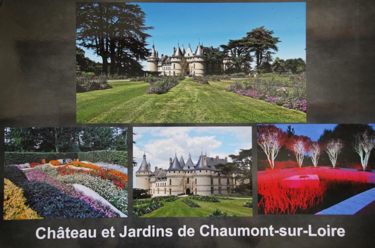 Sur Les Toits D'Amboise Apartment Bagian luar foto