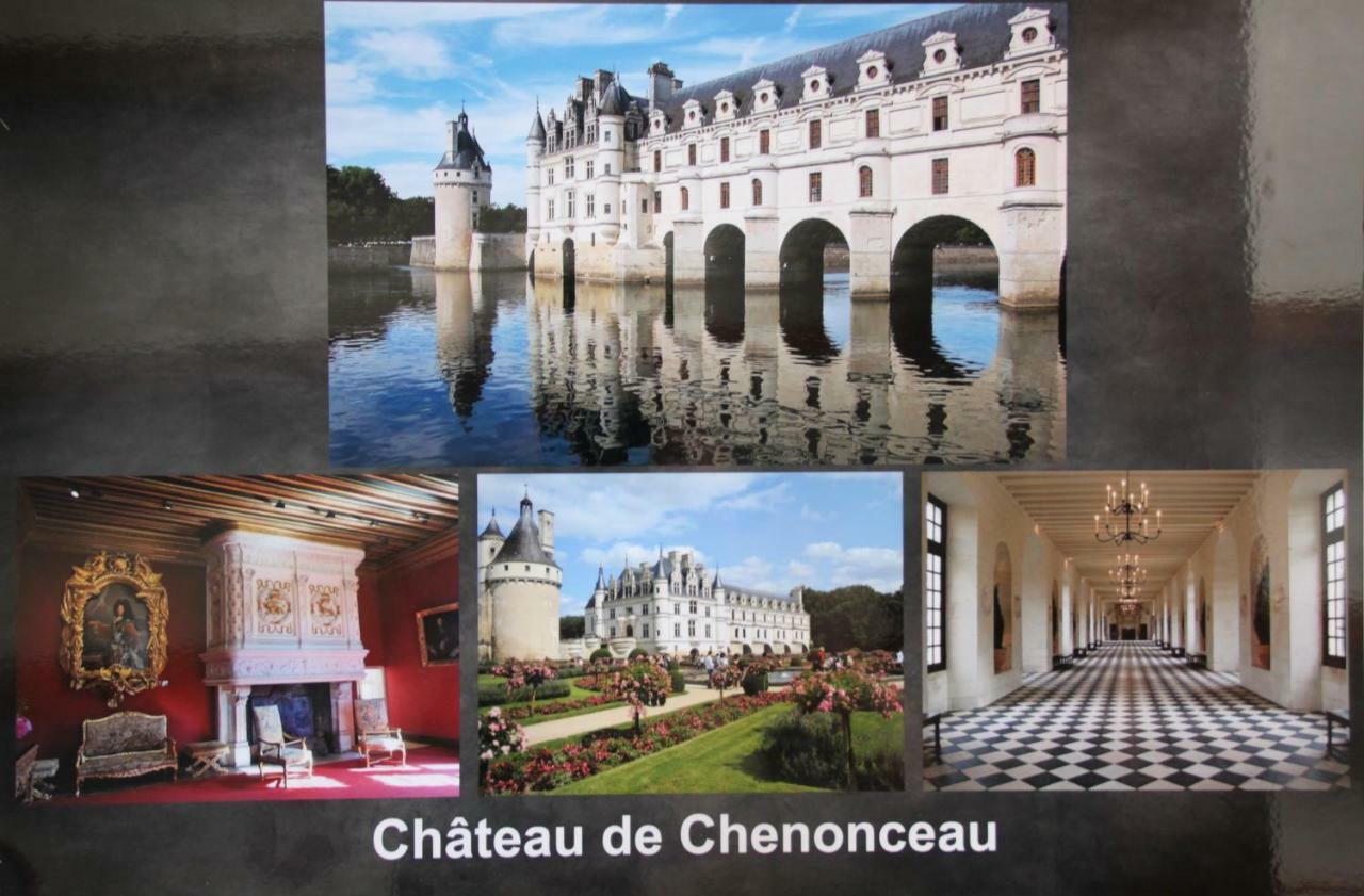 Sur Les Toits D'Amboise Apartment Bagian luar foto